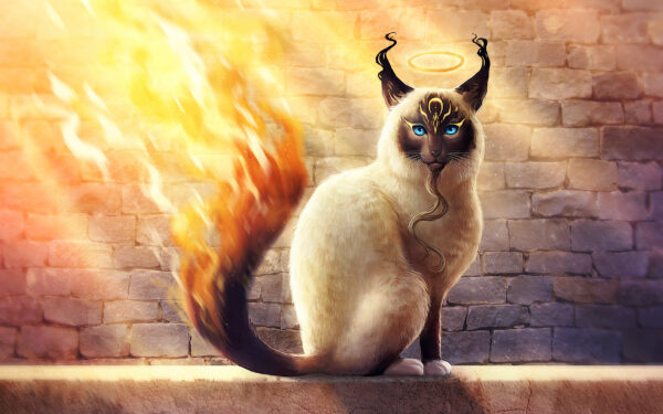 Wallpaper Catamancer, Birman