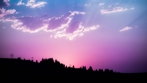 Wallpaper Sunset, Pink