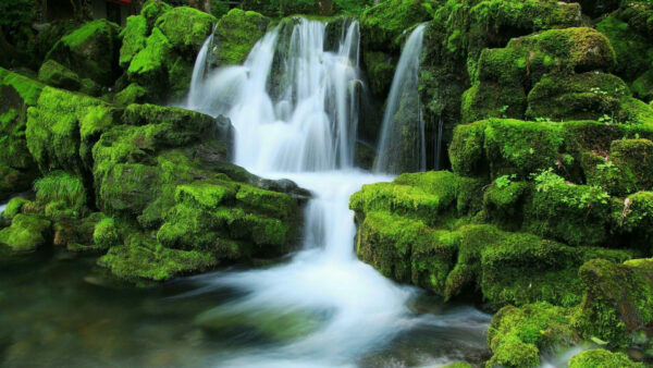 Wallpaper Nature, During, Covered, Daytime, Stream, Desktop, Algae, Rocks, Waterfall, Between