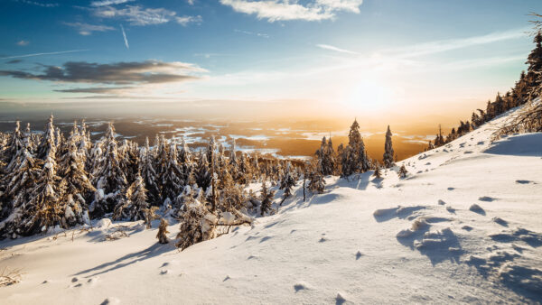 Wallpaper Snow, Landscape, 4k, Sky, Nature, Images, Desktop, Cool, Mobile, Trees, Phone, Spruce, Background