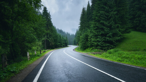 Wallpaper Road, Between, Clouds, Nature, Trees, Forest, White, Green, Under, Sky