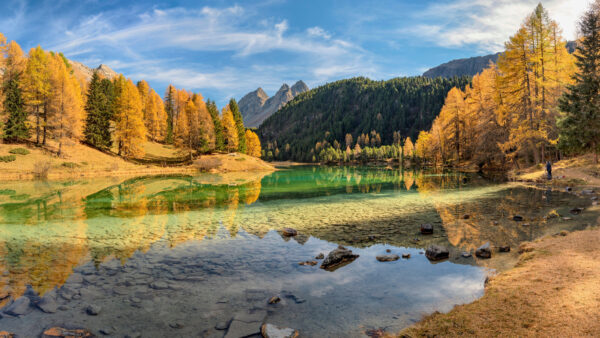 Wallpaper Mobile, Switzerland, Reflection, Green, Lake, Palpuogna, Yellow, Lai, With, Autumn, Trees, Nature, Desktop