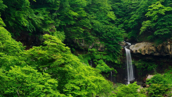 Wallpaper Aerial, View, Rocks, Green, Waterfall, Nature, Surrounded, Forest, Trees