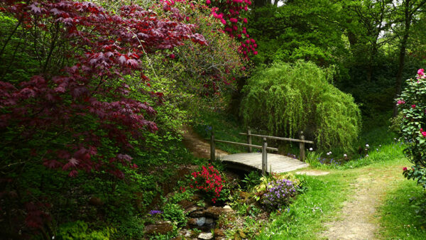 Wallpaper Bridge, Bushes, Wood, Plants, Colorful, Garden, Between, Nature, Flowers, Green, Trees