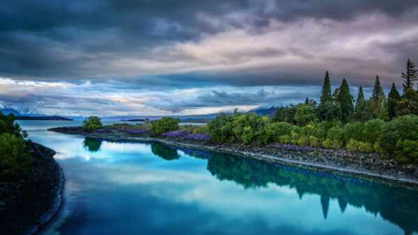 Wallpaper Mobile, Desktop, Plants, Bushes, Blue, Under, Nature, Clouds, Reflection, Trees, White, Water, Sky, Green, Flowers, Purple
