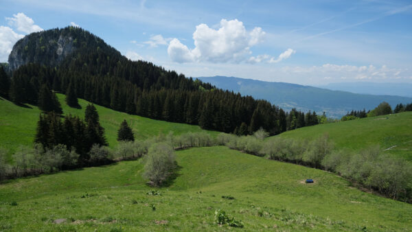 Wallpaper Trees, White, Mountains, Mobile, Nature, Blue, Field, Forest, Background, Desktop, Grass, Sky, Slope, Clouds, Green, Bushes