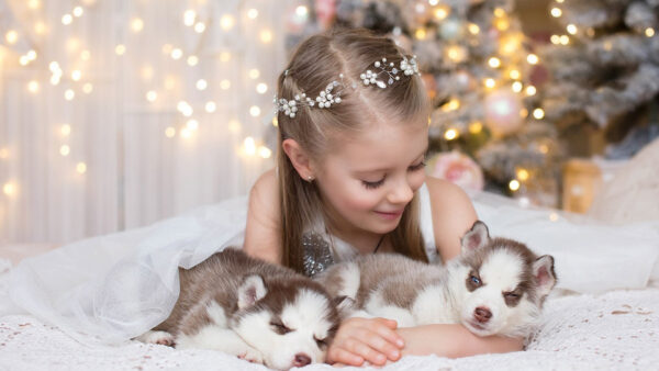 Wallpaper Down, Dog, Cute, With, Decorated, Puppies, Tree, Two, Background, Christmas, Bed, Girl, White, Dress, Little, Lying, Wearing