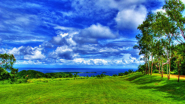 Wallpaper Ocean, White, Sky, Grass, Trees, Field, Nature, View, Green, Under, Blue, Landscape, Clouds