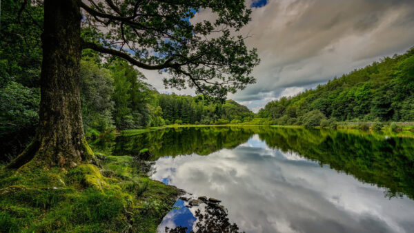 Wallpaper Blue, Water, Nature, Reflection, Surrounded, Bushes, Trees, Forest, Lake, Sky, Green, Under, White, Clouds