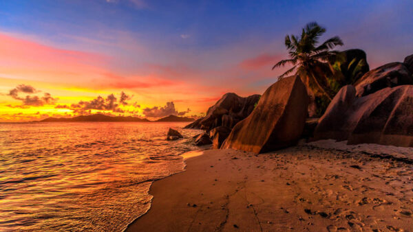 Wallpaper Clouds, Beach, Waves, Trees, Mountains, Sand, Sunset, Ocean, Rocks, Black, Yellow, Under, Palm, Sky, Blue, During