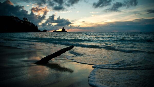 Wallpaper Under, Black, Ocean, Trees, Waves, Clouds, Blue, Sky, Nature, Desktop, Beach, During, Sunset, Sand, Mobile