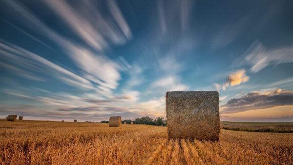Wallpaper Clouds, Blue, Under, Sky, Haystack, Nature, Wheat, White, Field
