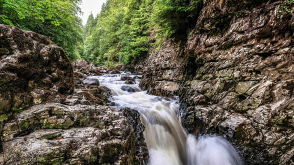 Wallpaper Waterfall, Green, Nature, Rocks, Forest, Background, Stream, Between, Trees