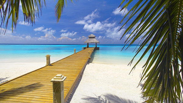 Wallpaper Ocean, Wood, Beautiful, Sand, Dock, Beach, Path, Photography