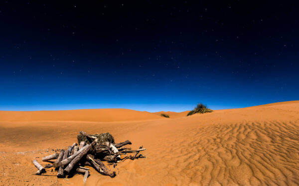 Wallpaper Sahara, Desert