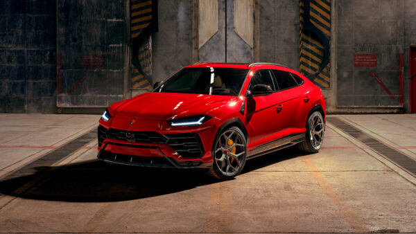 Wallpaper Novitec, 2019, Lamborghini, Urus