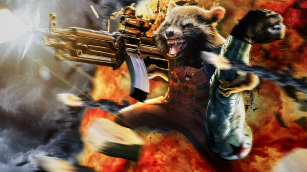 Wallpaper Rocket, Raccoon