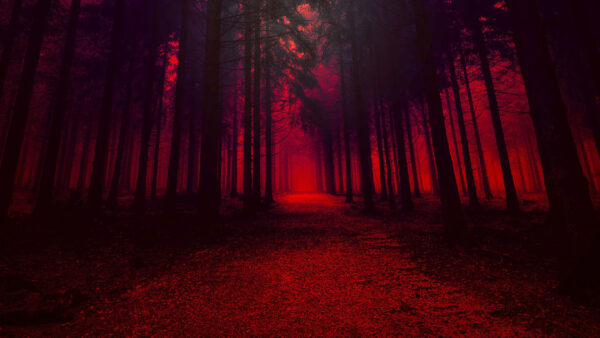 Wallpaper Effect, Forest, Aesthetic, Trees, Desktop, Red, With