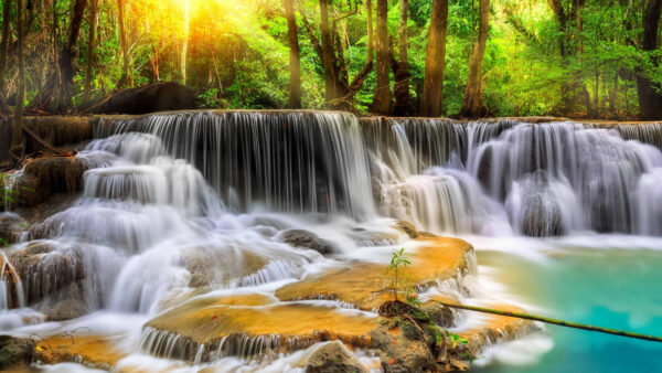 Wallpaper Forest, Stream, Beautiful, Mobile, Waterfall, Desktop, Background, Nature, Green, Trees