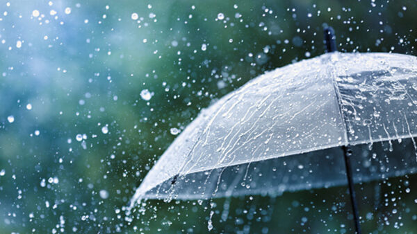 Wallpaper Umbrella, Rain, Falling, White, Drops