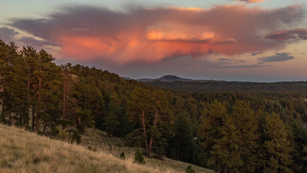 Wallpaper Gray, Under, Cool, Green, Trees, Orange, Desktop, Sky, Mountain
