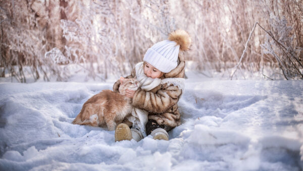 Wallpaper Cat, Sitting, Wearing, Desktop, Background, Snow, With, Woolen, And, Girl, Cap, Little, Dress, Forest, Cute