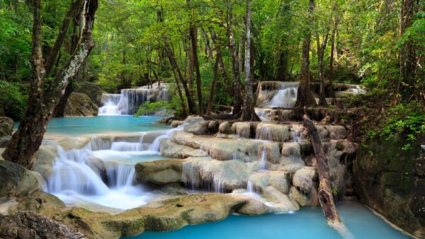 Wallpaper Waterfall, Desktop, Mobile, Green, Nature, Stones, Trees, Surrounded, Forest, Stream