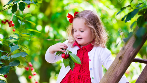 Wallpaper White, Wearing, With, Blur, Leaves, Little, Cute, Hand, Cherry, Smiley, Having, Dress, Red, Green, Desktop, Girl, Background