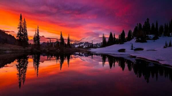 Wallpaper Trees, Nature, Beautiful, Snow, Pink, Land, Covered, Clouds, River, Sky, Under, Water, Between, Reflection, Green, Orange, And