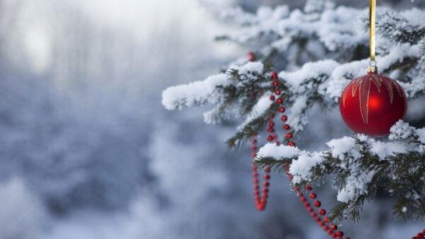 Wallpaper Red, With, Tree, Ball, Christmas, Desktop, Covered, Snow, Pine