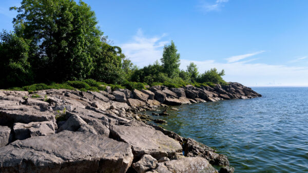 Wallpaper Stones, Trees, Mobile, River, Sky, Desktop, Plants, Blue, Green, Bushes, Nature, Under