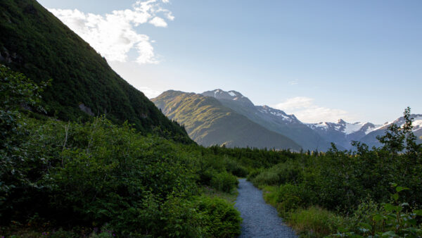 Wallpaper Blue, Mountains, Plants, Path, Background, Bushes, Under, Sky, Nature, Between, Desktop, Mobile, Green, Grass