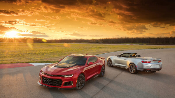 Wallpaper Camaro, Coupe, Chevrolet, Muscle, Convertible, Silver, Car, ZL1, Cars, Red