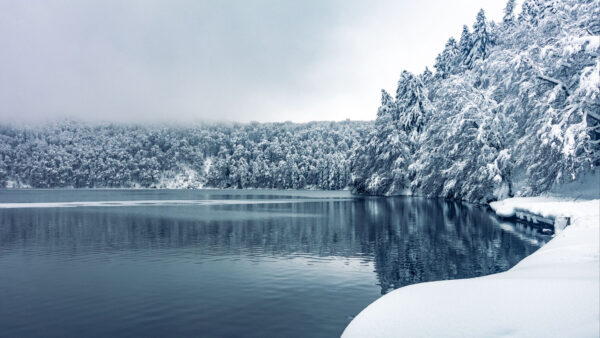 Wallpaper Frozen, Snow, Forest, Blue, Lake, Under, Trees, Winter, Reflection, Sky