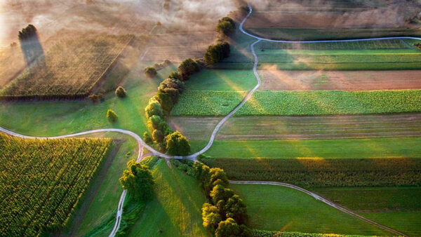 Wallpaper Grass, Road, Aerial, Green, Sunlight, View, Trees, Nature, With, Bushes, Field, Farm, Between