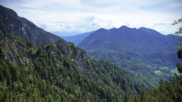 Wallpaper Slope, Mountains, Trees, Plants, Green, Bushes, Nature, Mobile, Desktop