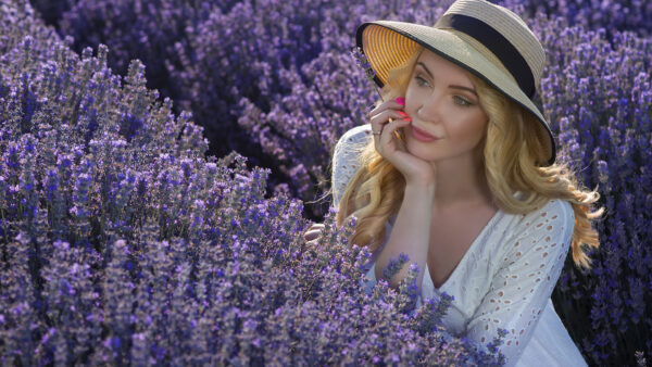 Wallpaper Girls, Lavender, White, Hat, Sitting, Wearing, Field, Dress, Model, Girl, And