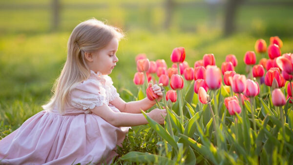 Wallpaper Red, Wearing, Dress, Girl, Background, Light, Green, Blur, Flowers, Cute, Tulip, Touching, Pink, Little, Sitting