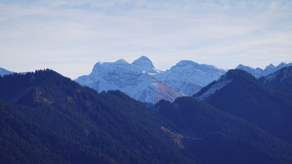 Wallpaper Background, Desktop, Mountain, Snow, Covered, Mobile, Landscape, Blue, Forest, Trees, Slope, Greenery, Mountains, Sky, View