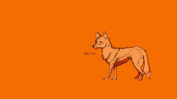 Wallpaper Swim, Adult, Fox, Background, Orange