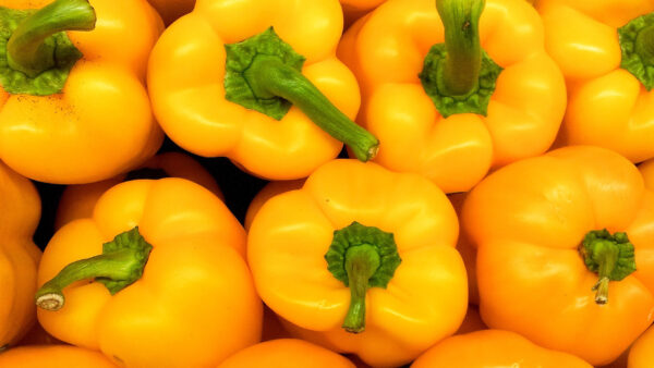 Wallpaper Bell, Capsicums, Yellow, Peppers