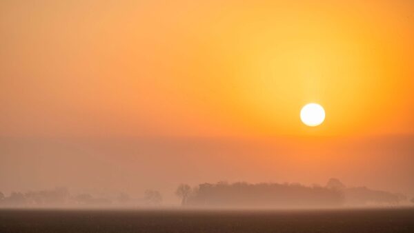 Wallpaper Forest, Trees, Moon, Nature, Sunrise, Covered, Background, Fog