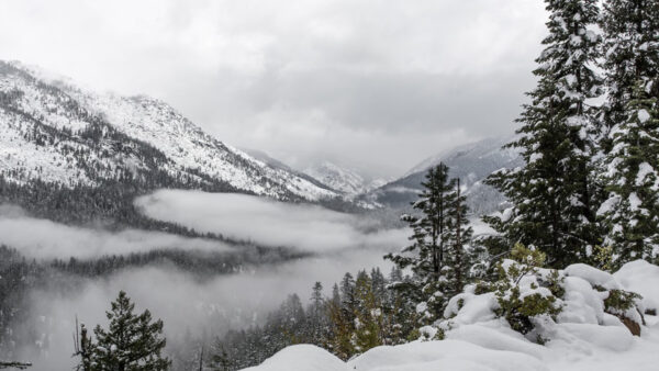 Wallpaper Slope, Covered, Fall, Scenery, Mountains, Beautiful, Winter, Trees, Snow, Fog