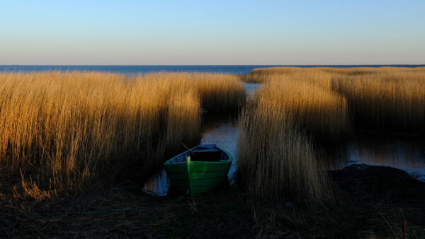 Wallpaper Under, Ocean, Background, Desktop, Sky, Dry, Blue, Between, Nature, Mobile, Water, Grass, Boat