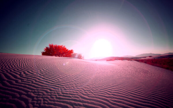 Wallpaper Desert, Flare