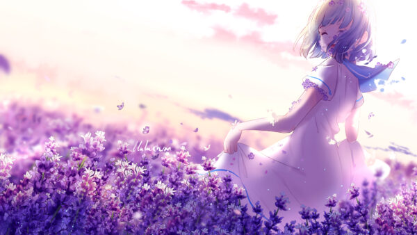 Wallpaper Lavender, Anime, Purple, Girl, Flowers