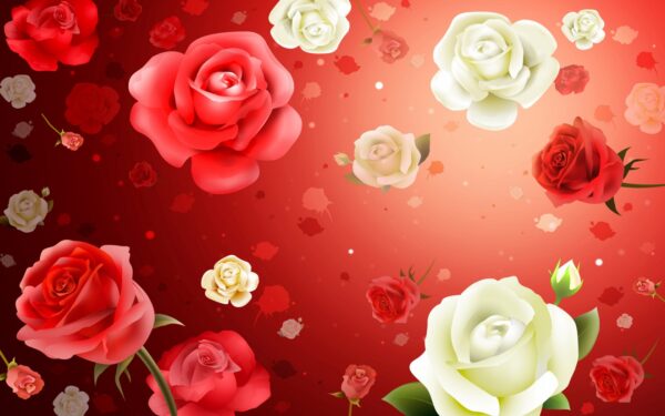 Wallpaper Roses, Widescreen