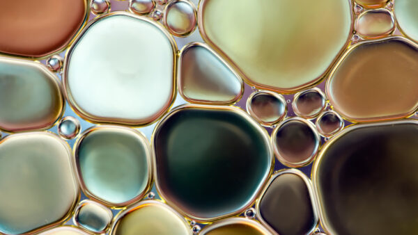 Wallpaper Bubble, Desktop, Water, Abstract, Circle