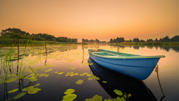 Wallpaper Photography, Trees, Green, Surrounded, Bushes, During, Boat, Sunset, Grass, Mobile, Desktop, Lake