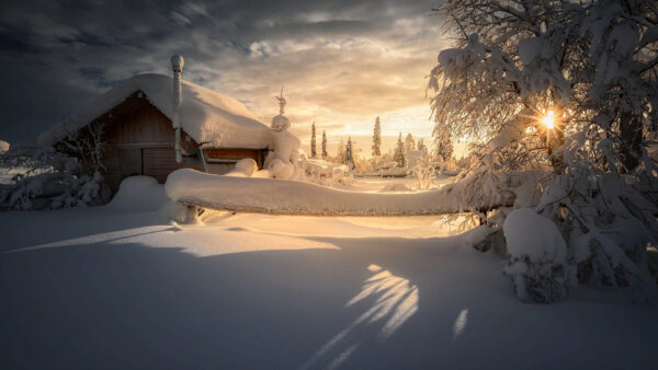 Wallpaper During, Cloudy, Winter, Trees, Sky, And, Sunrise, Covered, Snow, House, Under